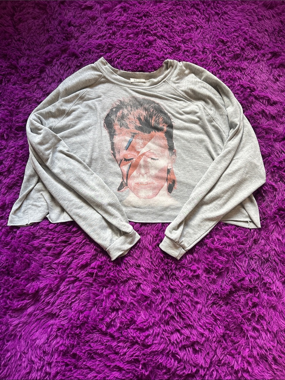Gray Graphic Cropped Sweatshirt - David Bowie Inspired *Archival fashion piece*
